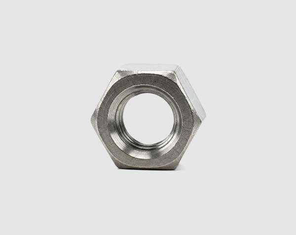 Stainless Steel Hex Nut